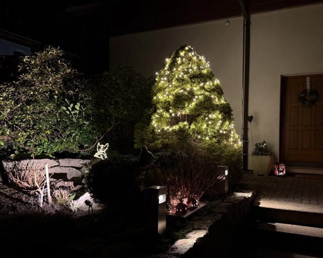 Weihnachtsfenster 14. Dezember 2025