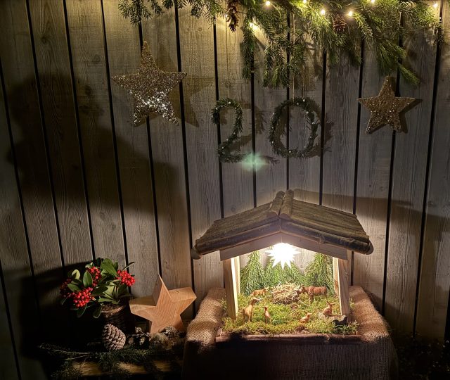 Weihnachtsfenster 20. Dezember 2025