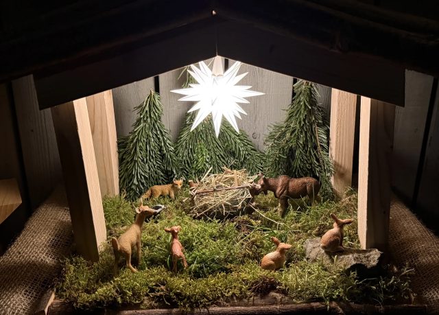 Weihnachtsfenster 20. Dezember 2025