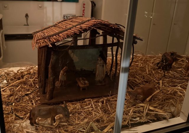 Weihnachtsfenster 24. Dezember 2025